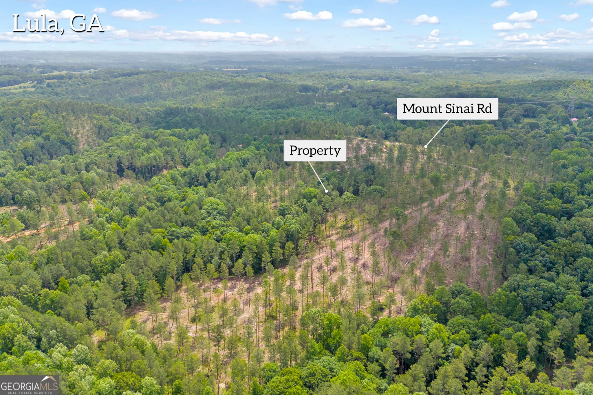 unimproved land for sale at 0 Mt. Sinai LOT 4, Lula, GA 30554 — photo 4