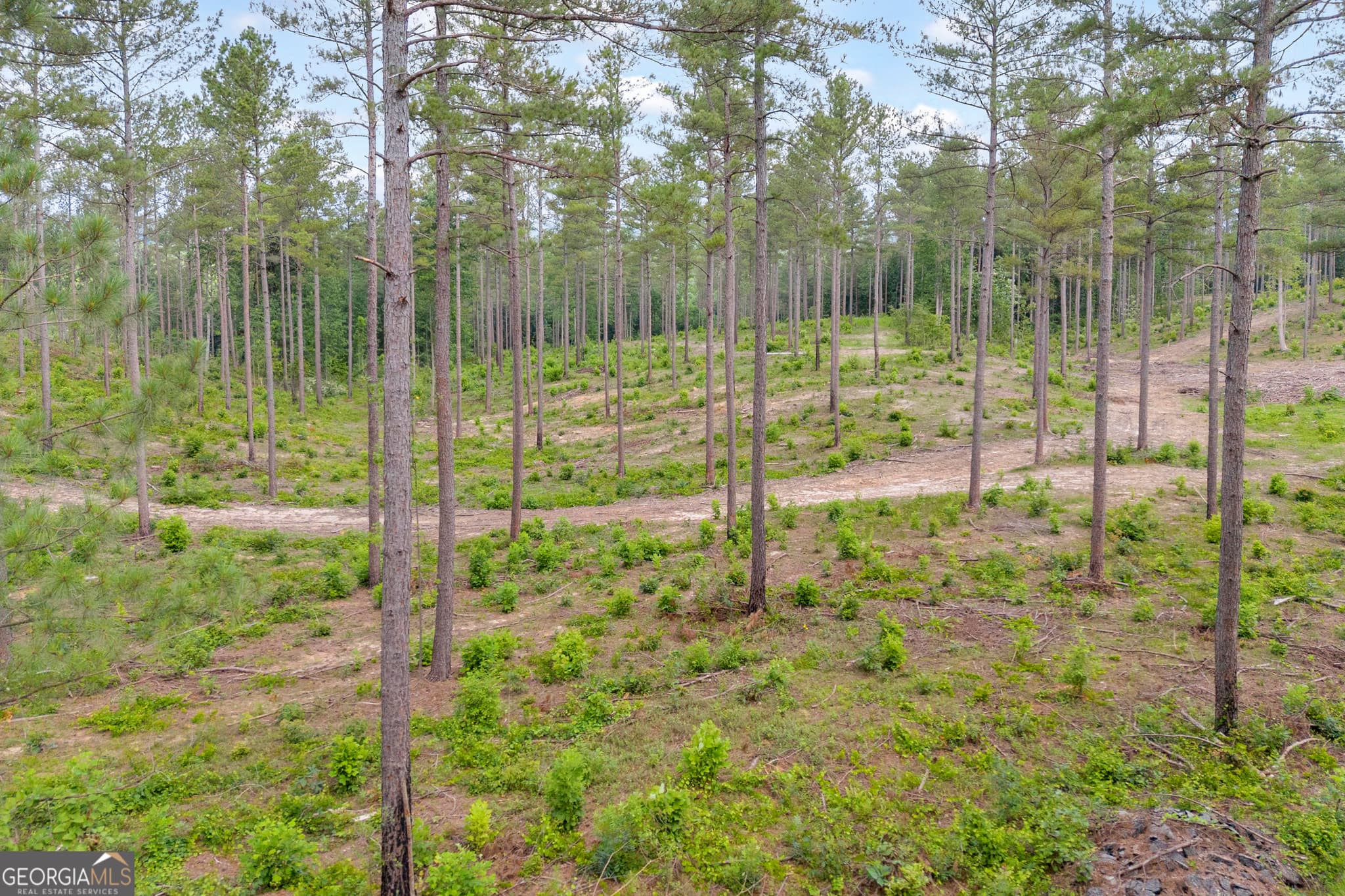 unimproved land for sale at 0 Mt. Sinai LOT 4, Lula, GA 30554 — photo 8