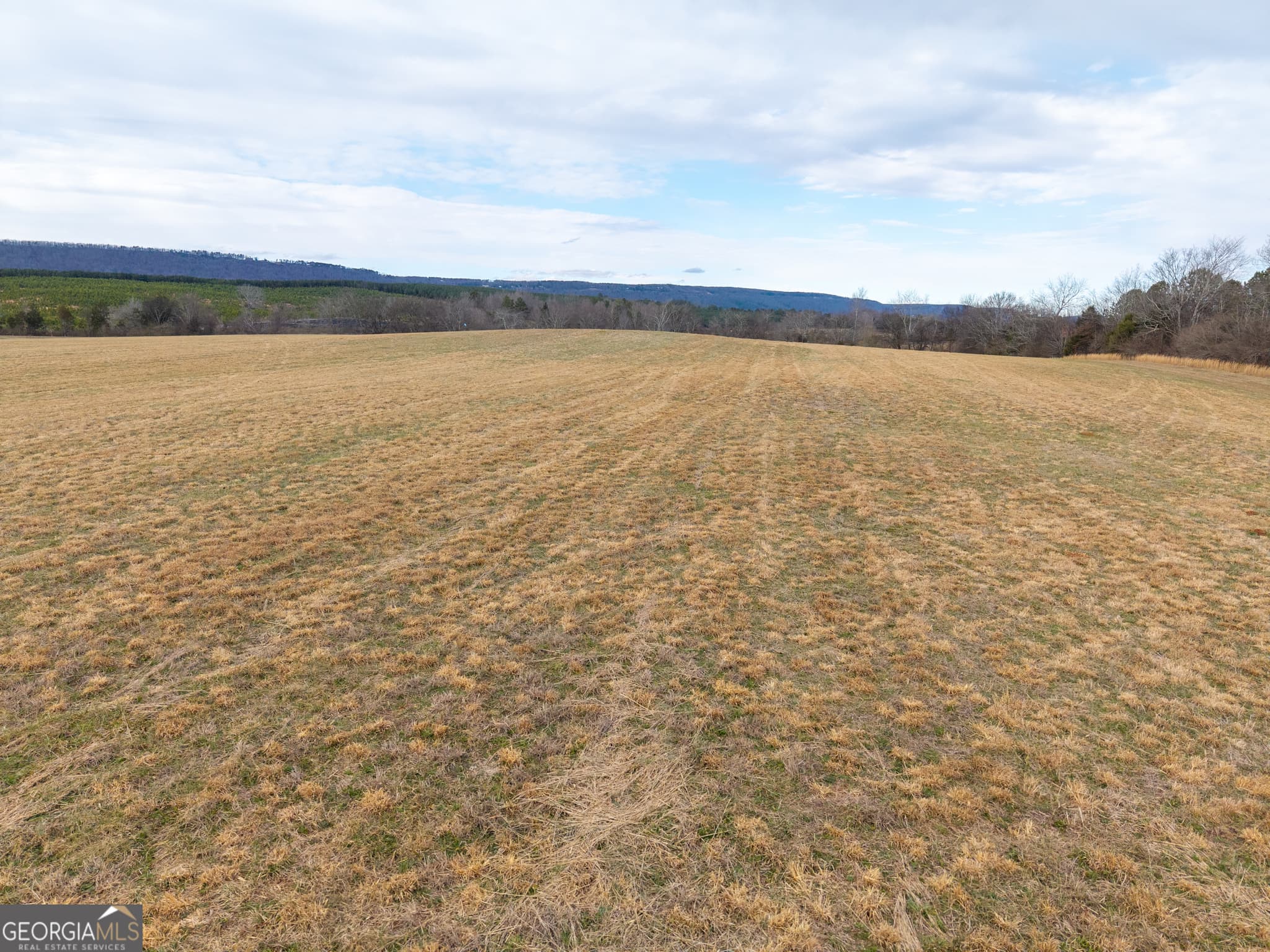agriculture for sale at 0 Old Hwy 337, Menlo, GA 30731 — photo 6