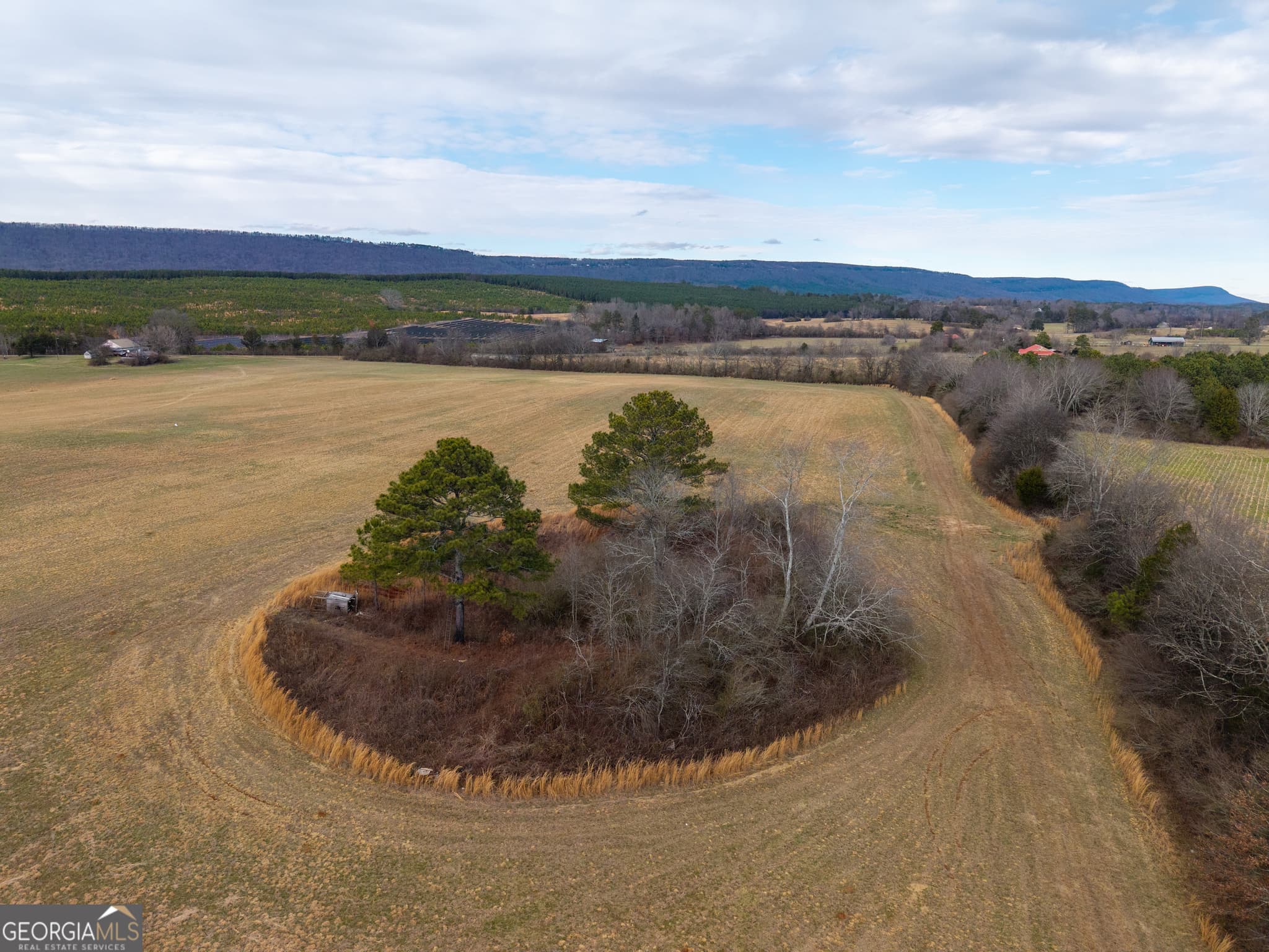 agriculture for sale at 0 Old Hwy 337, Menlo, GA 30731 — photo 7