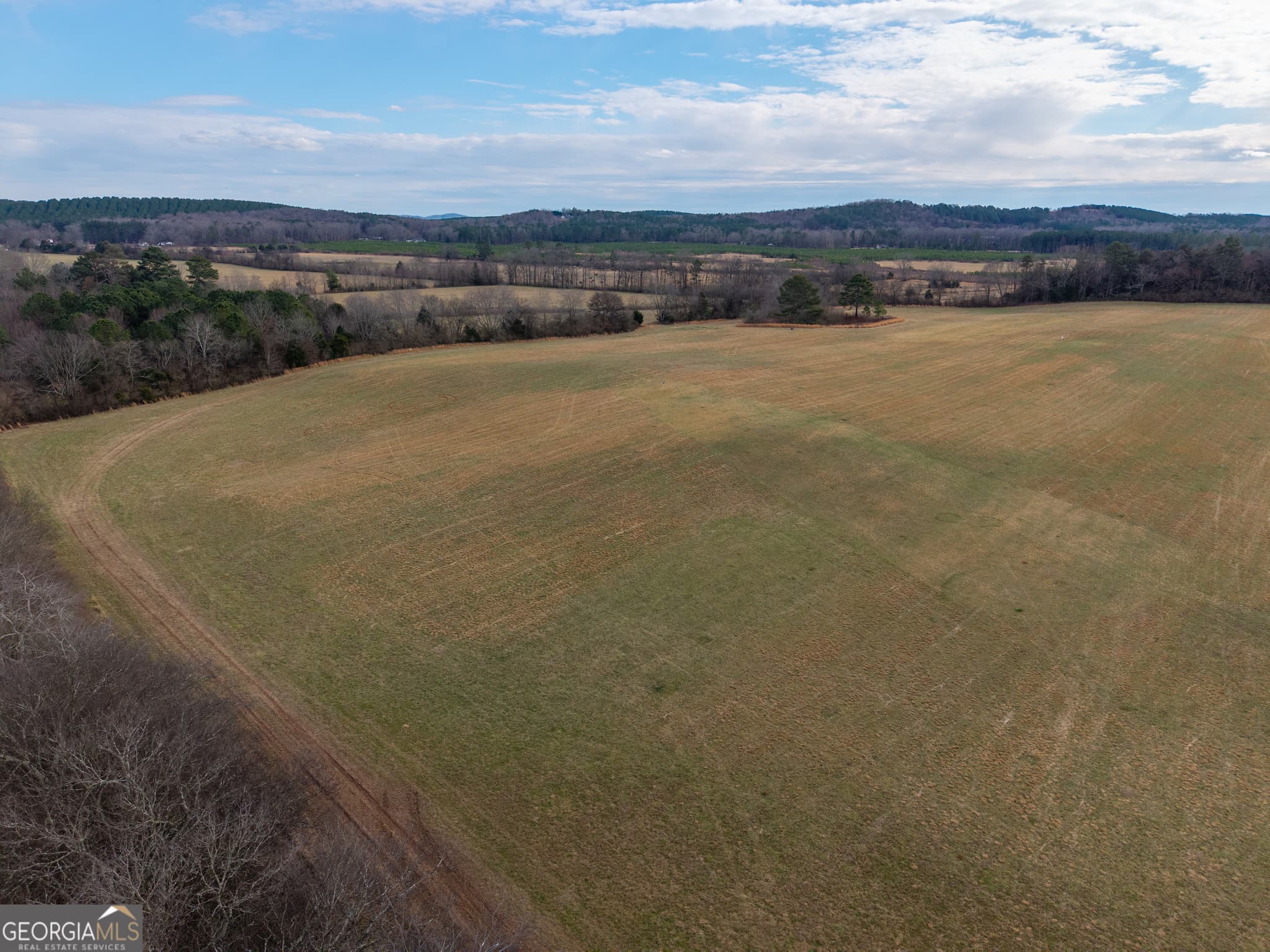 agriculture for sale at 0 Old Hwy 337, Menlo, GA 30731 — photo 3