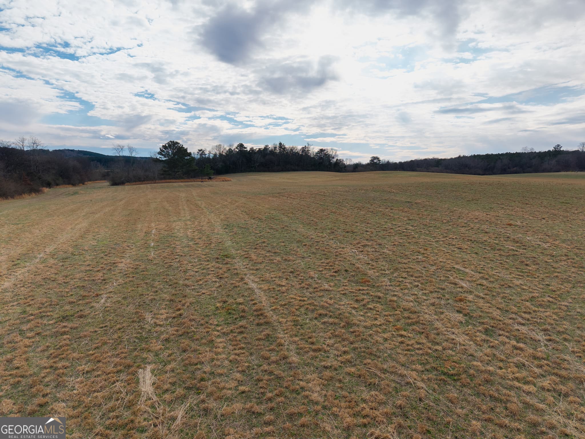 agriculture for sale at 0 Old Hwy 337, Menlo, GA 30731 — photo 5