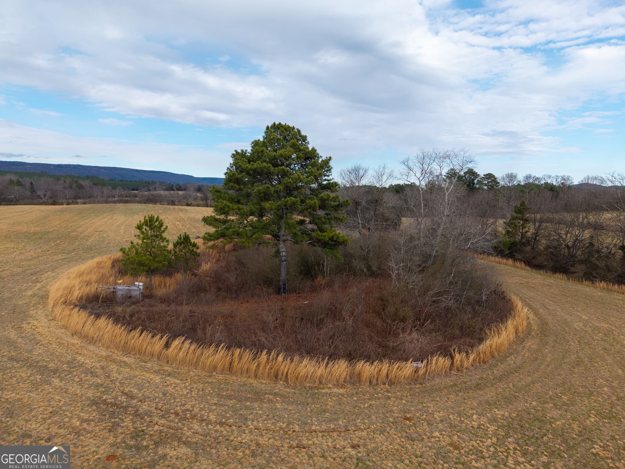 agriculture for sale at 0 Old Hwy 337, Menlo, GA 30731 — photo 9