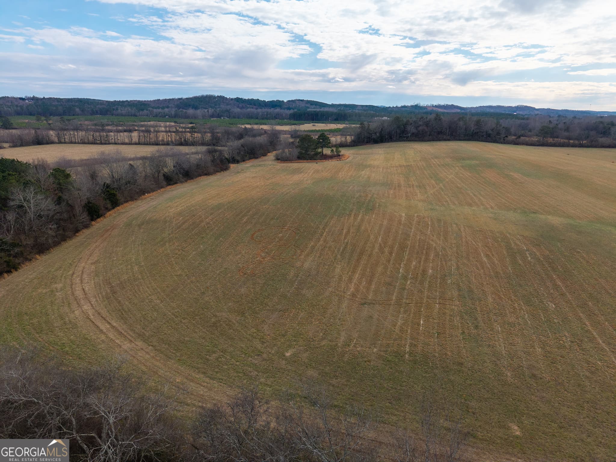 agriculture for sale at 0 Old Hwy 337, Menlo, GA 30731 — photo 4