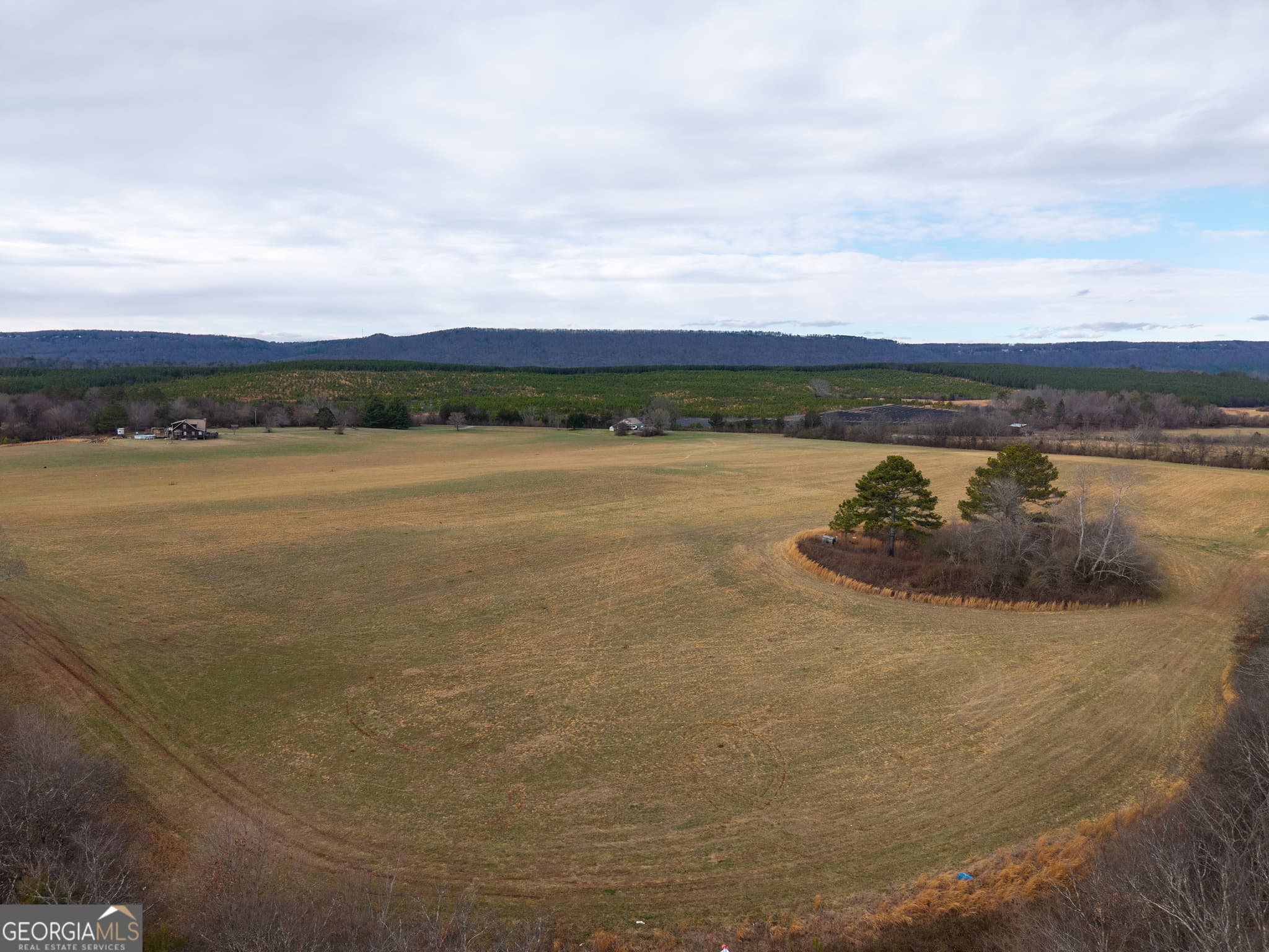 agriculture for sale at 0 Old Hwy 337, Menlo, GA 30731 — photo 8