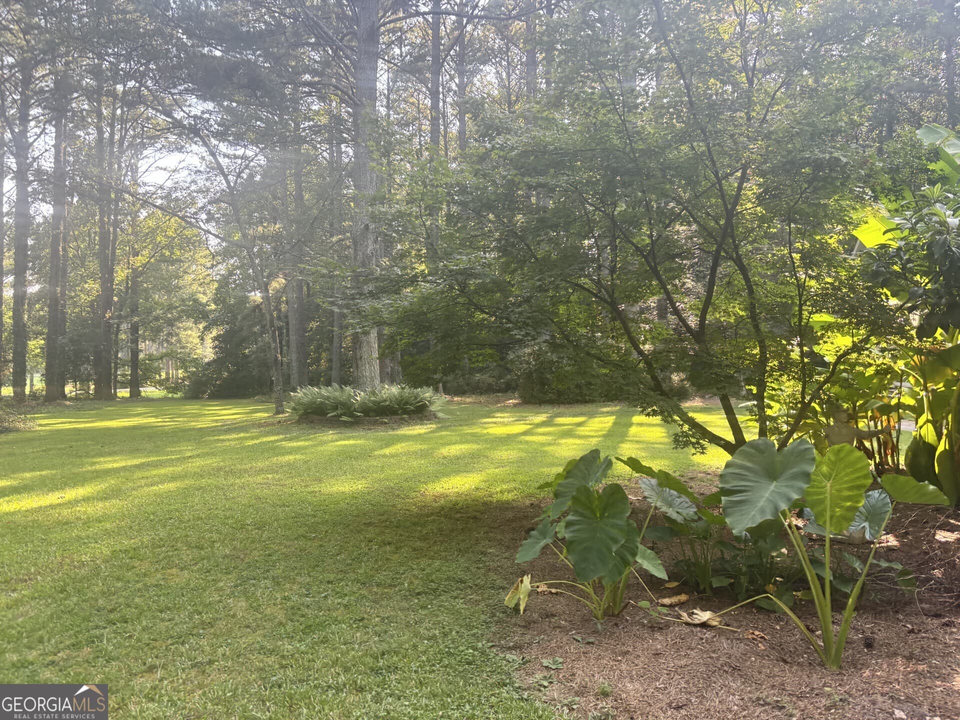 3 bedroom, 3.5 bathroom, 3,768 sq ft single family residence for sale at 230 White Road, Fayetteville, GA 30214 — photo 2