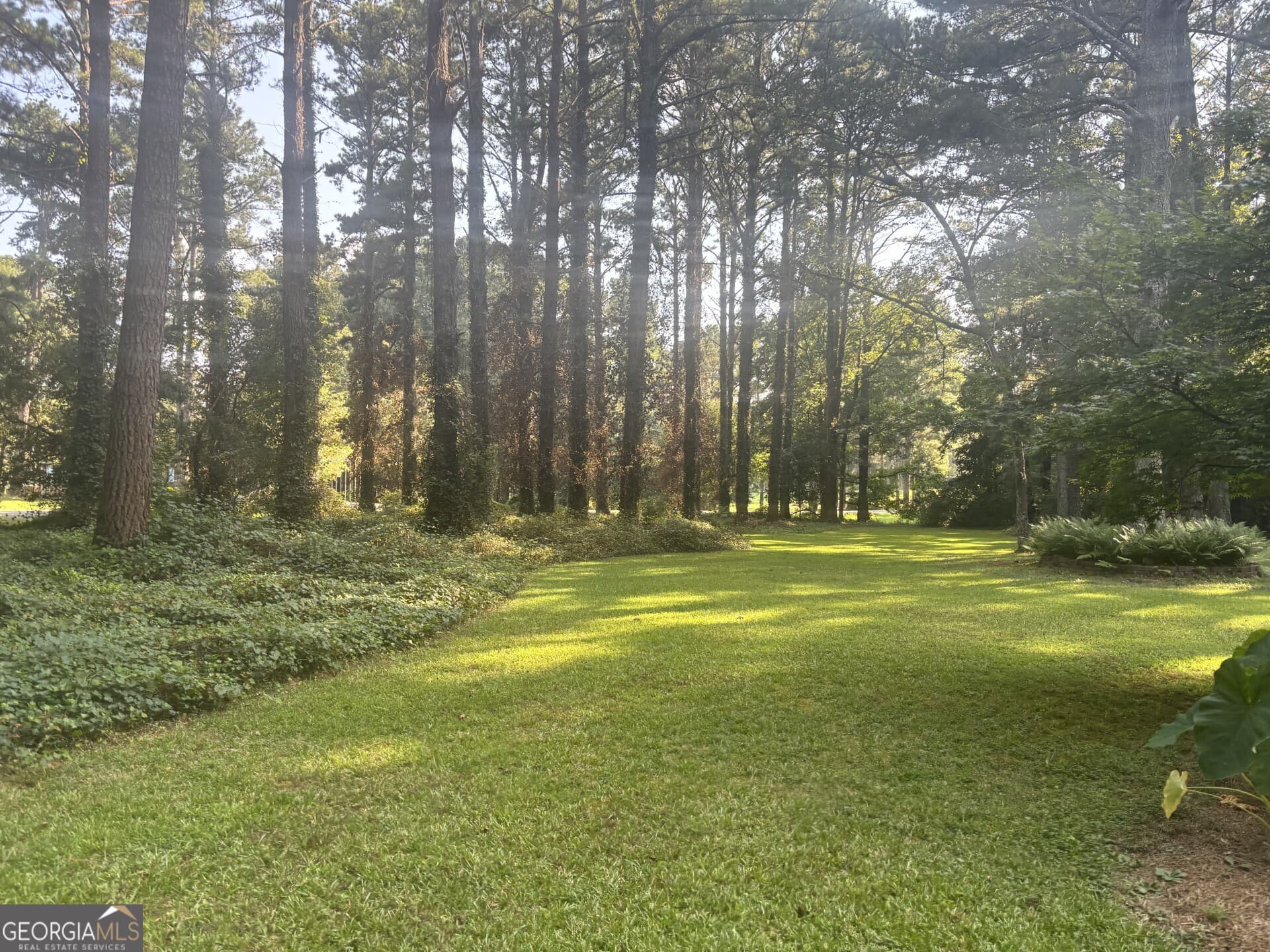 3 bedroom, 3.5 bathroom, 3,768 sq ft single family residence for sale at 230 White Road, Fayetteville, GA 30214 — photo 3