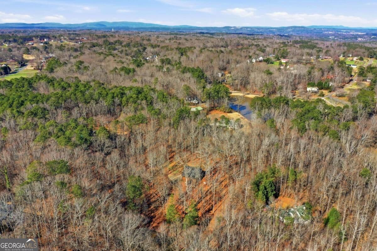 3 bedroom, 2 bathroom, 1,820 sq ft cabin,single family residence for sale at 437 Twin Lakes Drive, Canton, GA 30115 — photo 10