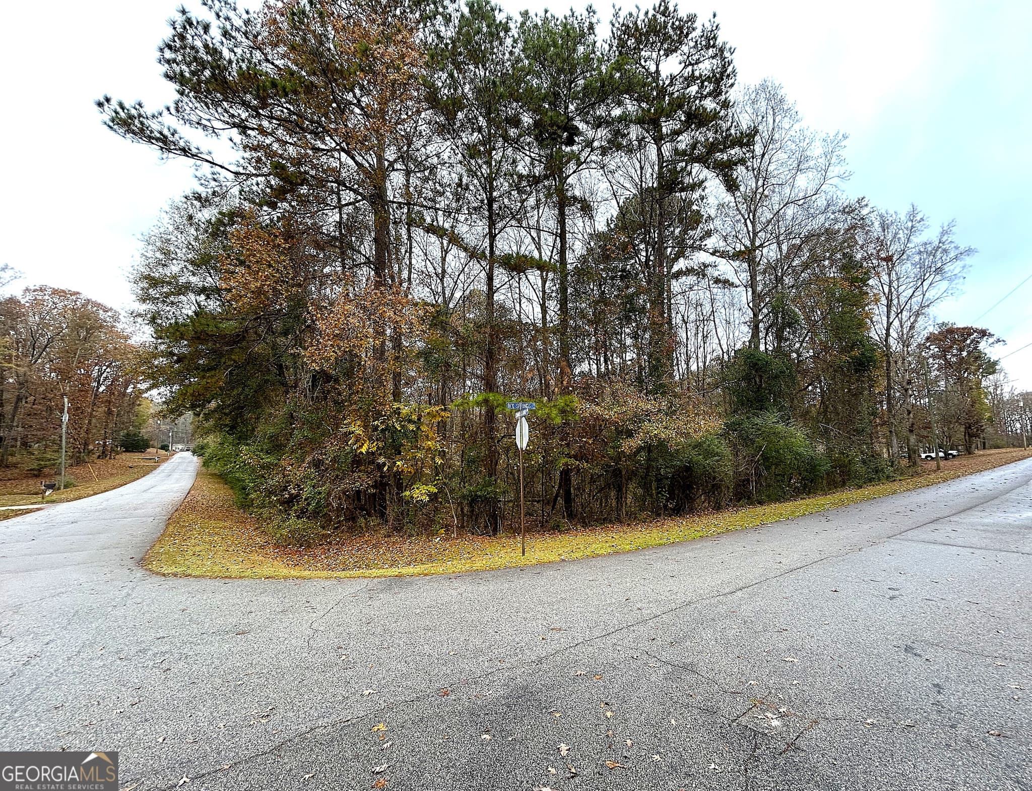 residential lot for sale at 101 Ivy Springs Drive, Lagrange, GA 30240 — photo 2