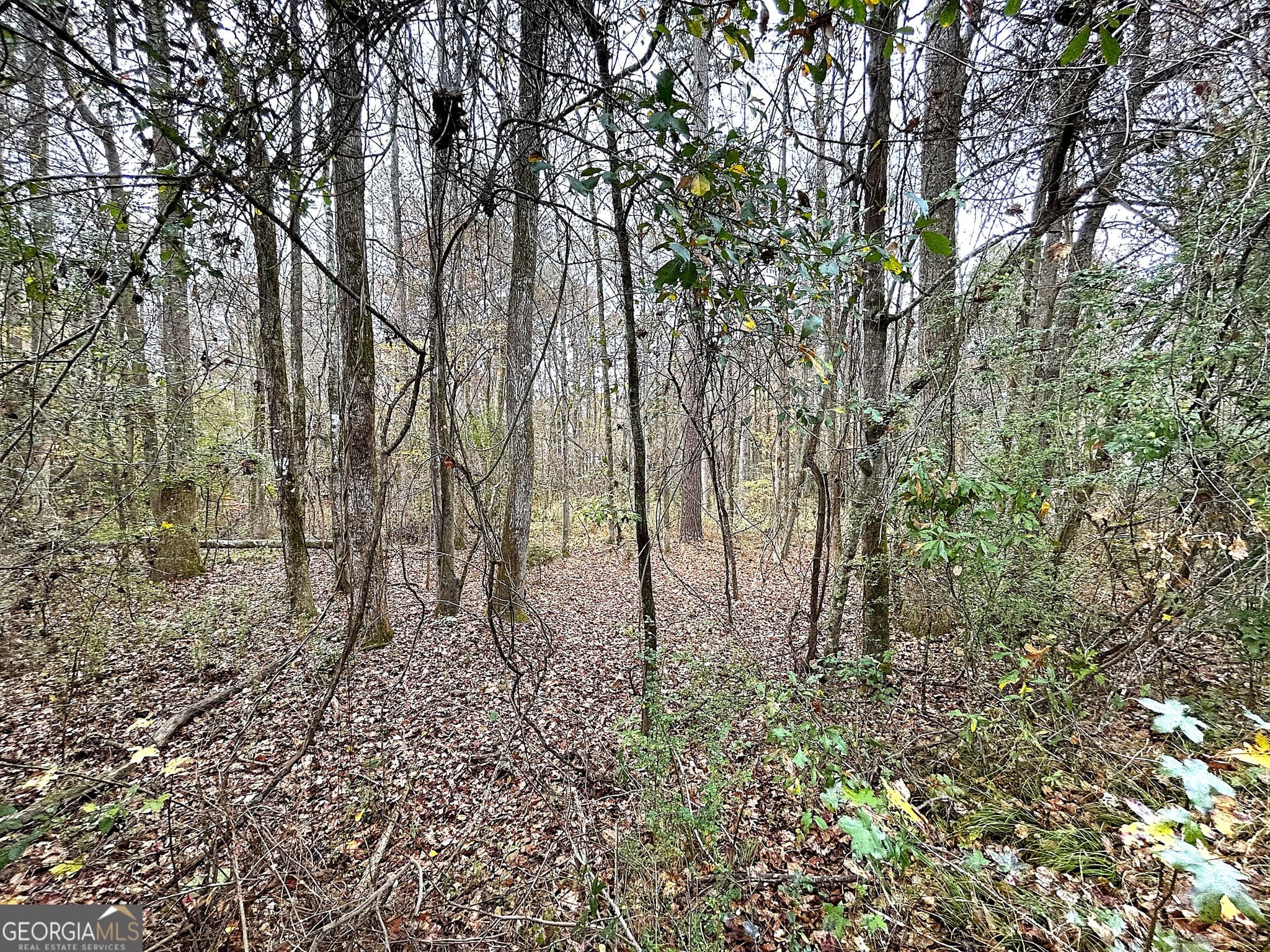 residential lot for sale at 101 Ivy Springs Drive, Lagrange, GA 30240 — photo 6