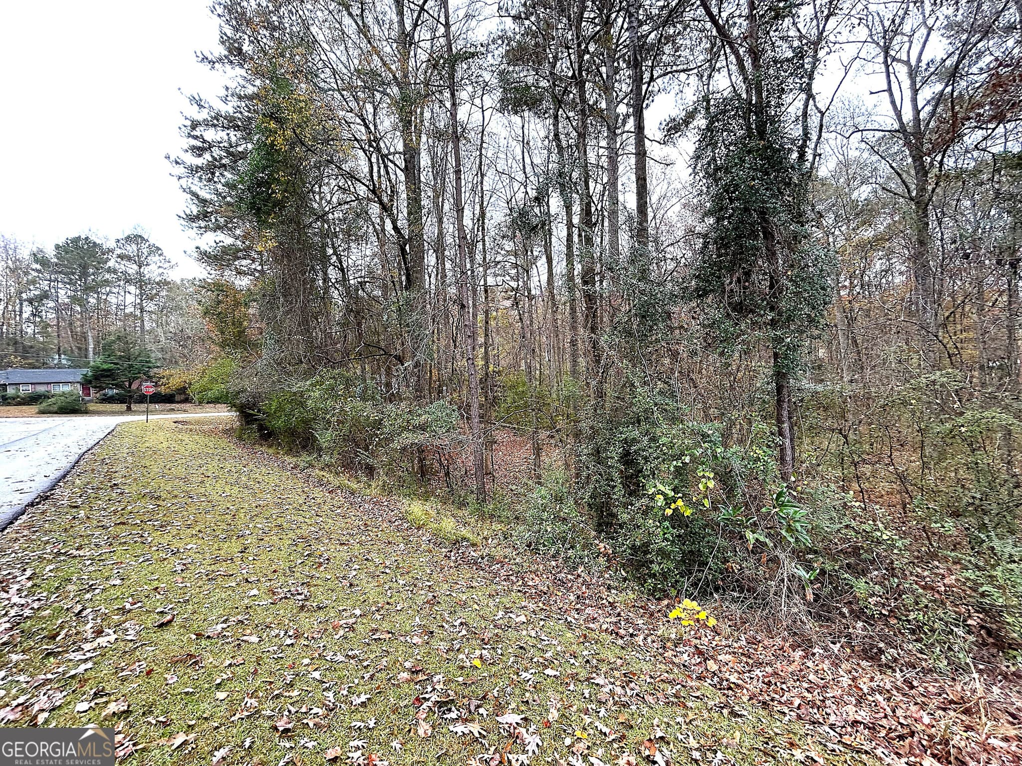 residential lot for sale at 101 Ivy Springs Drive, Lagrange, GA 30240 — photo 7