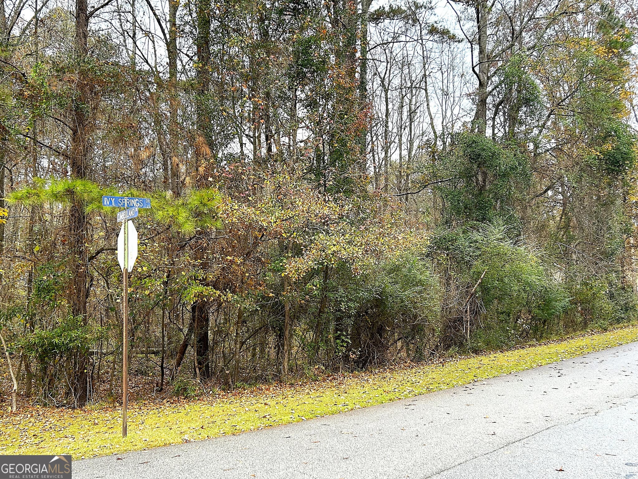 residential lot for sale at 101 Ivy Springs Drive, Lagrange, GA 30240 — photo 3
