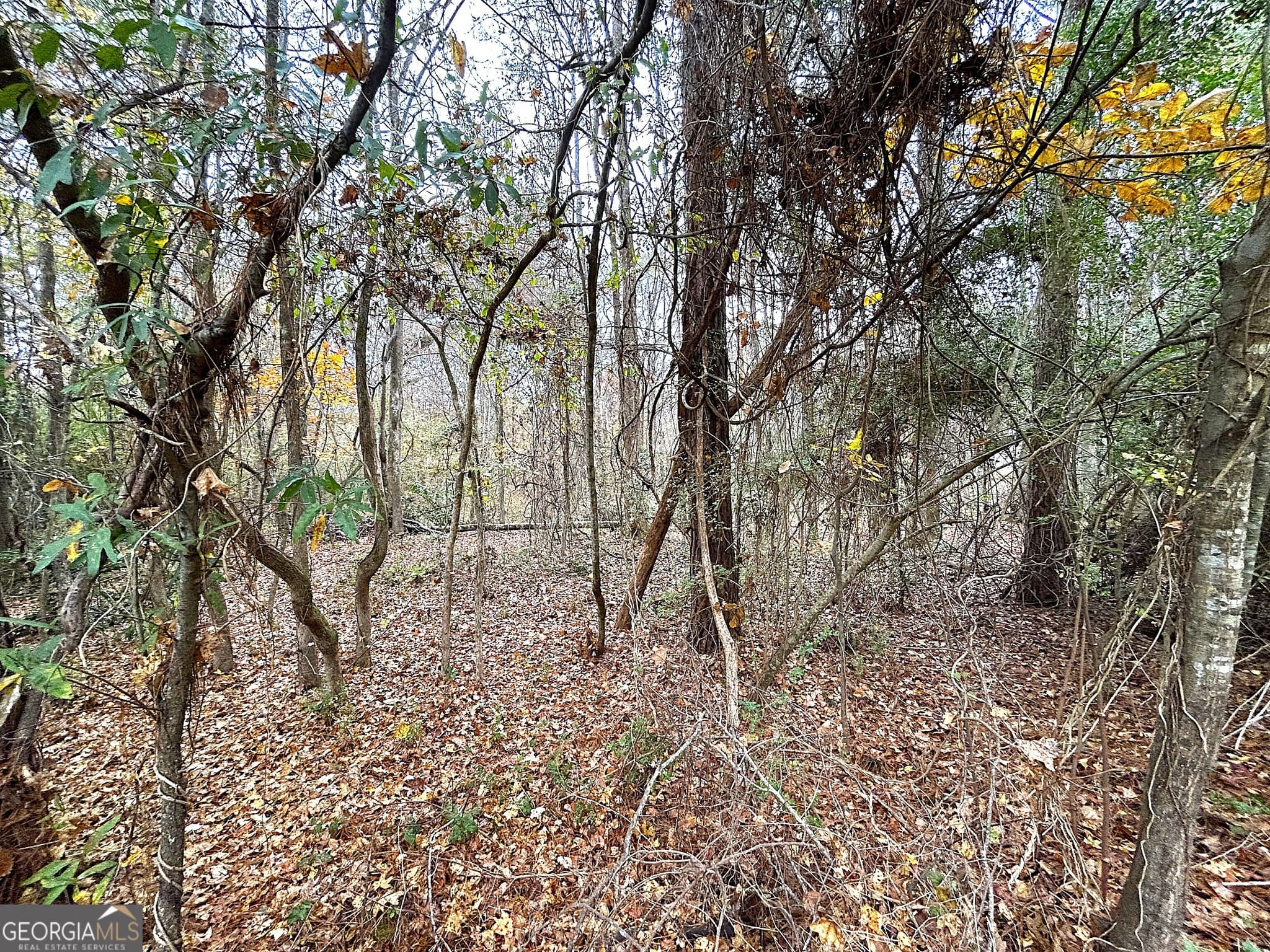 residential lot for sale at 101 Ivy Springs Drive, Lagrange, GA 30240 — photo 5