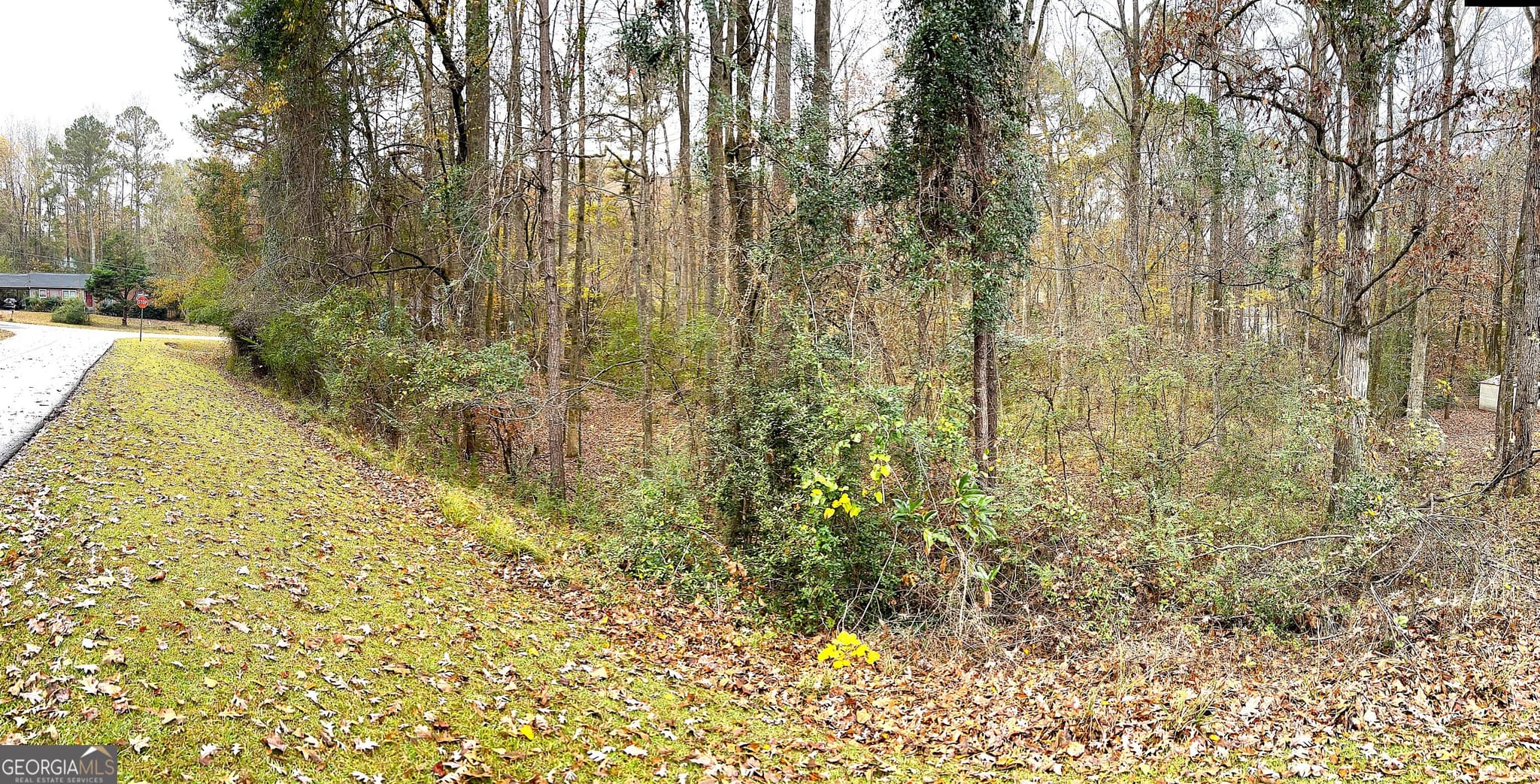 residential lot for sale at 101 Ivy Springs Drive, Lagrange, GA 30240 — photo 9