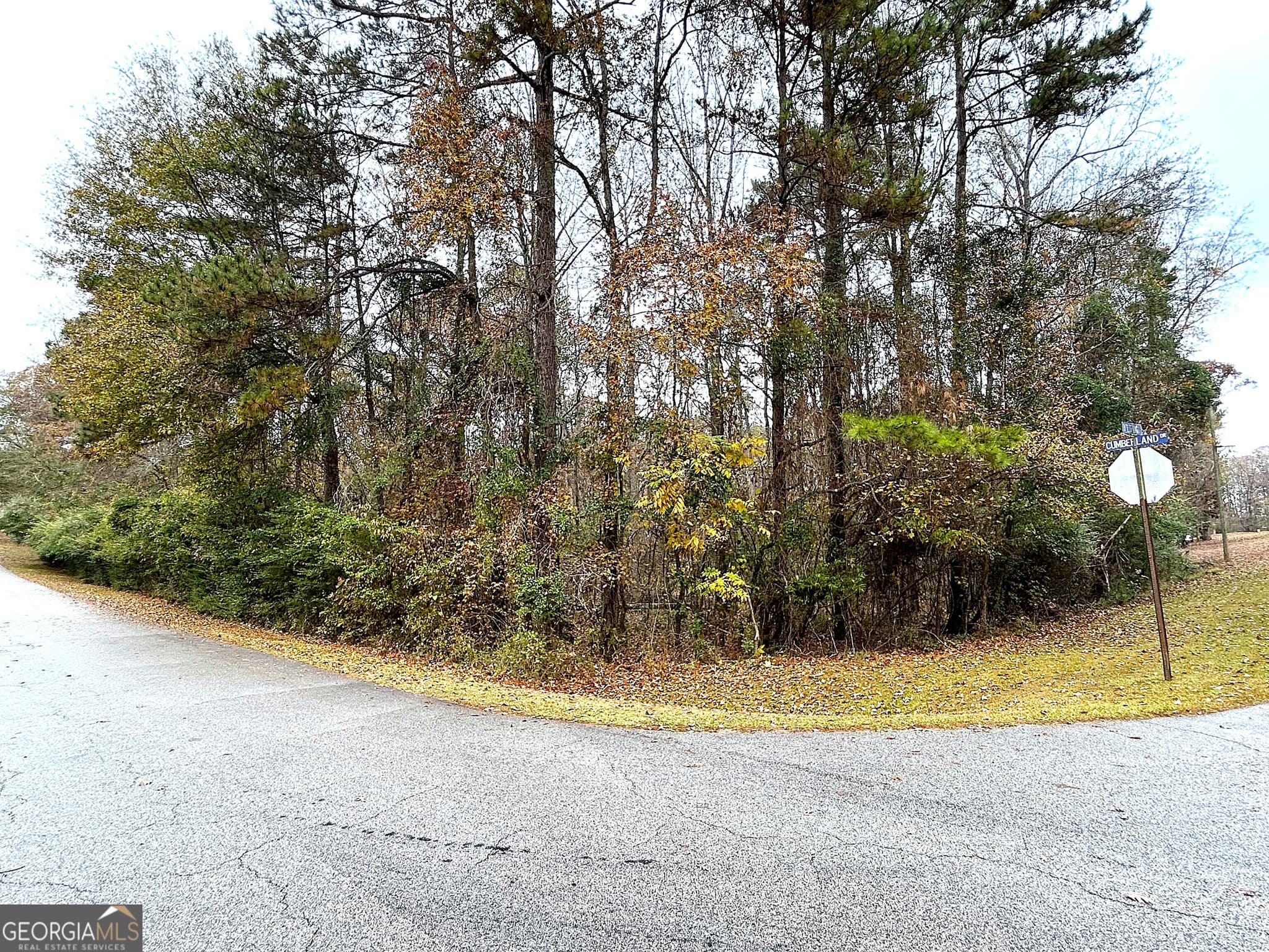 residential lot for sale at 101 Ivy Springs Drive, Lagrange, GA 30240 — photo 4