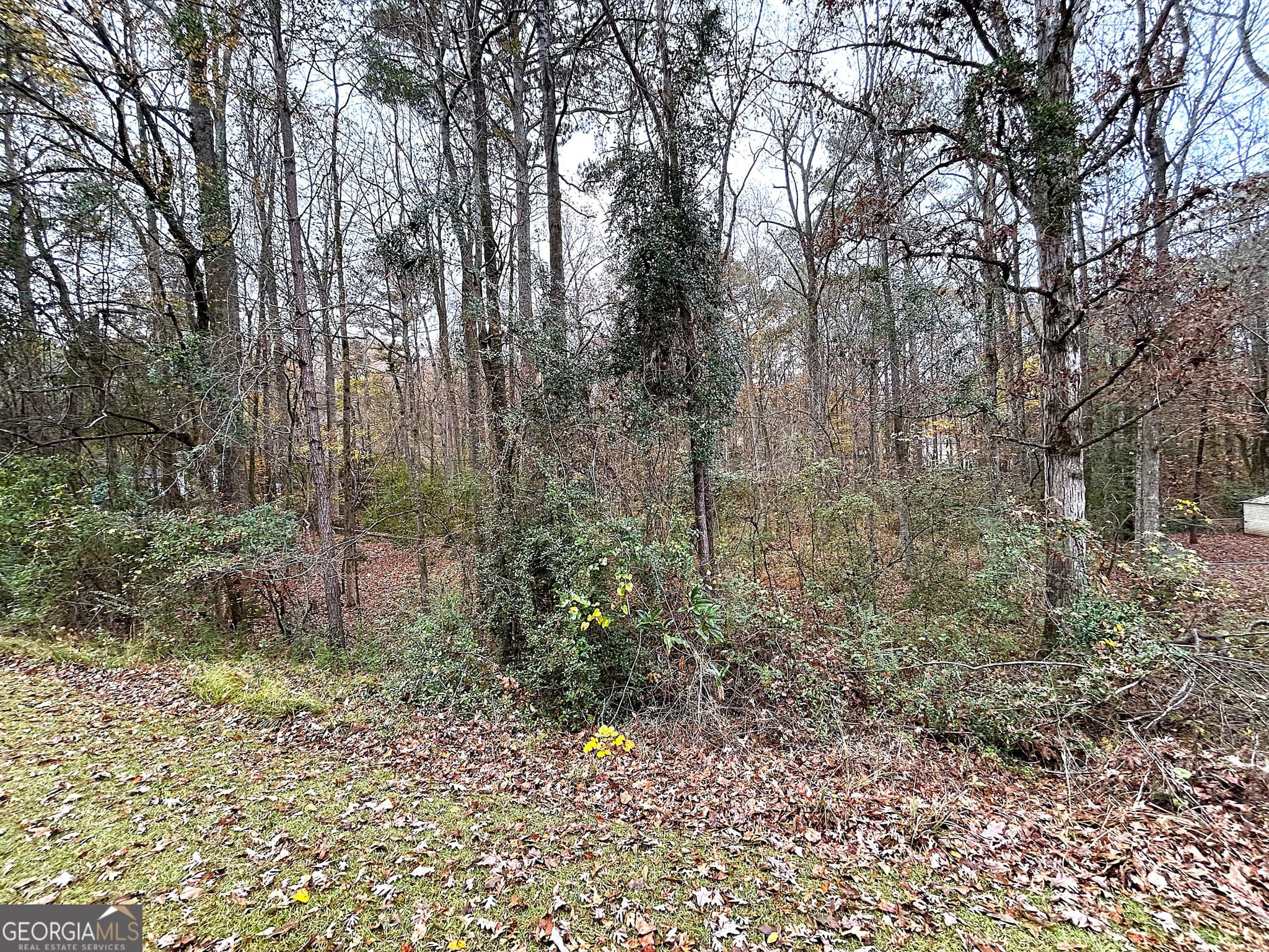 residential lot for sale at 101 Ivy Springs Drive, Lagrange, GA 30240 — photo 8