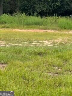 residential lot for sale at 114 Elm Street, Tifton, GA 31794 — photo 3
