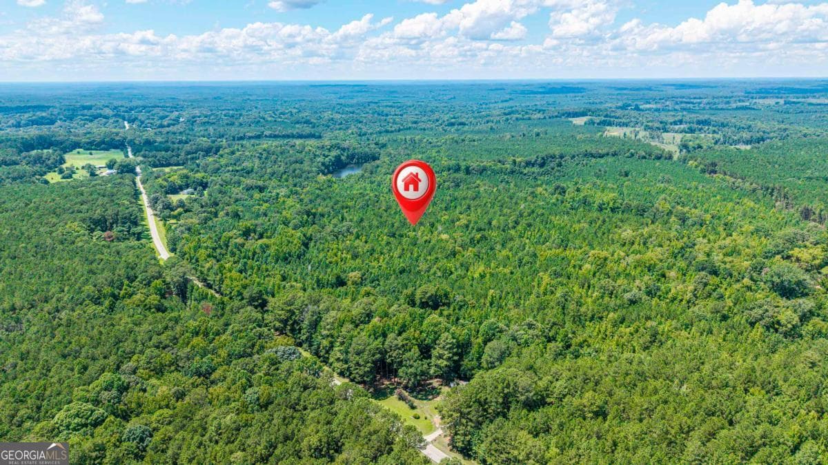 residential lot for sale at 0 Penfield Road, Union Point, GA 30669 — photo 2