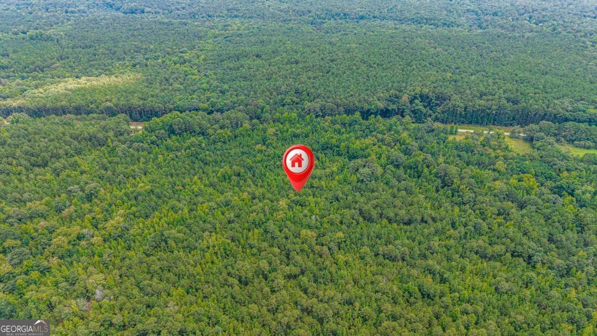 residential lot for sale at 0 Penfield Road, Union Point, GA 30669 — photo 6