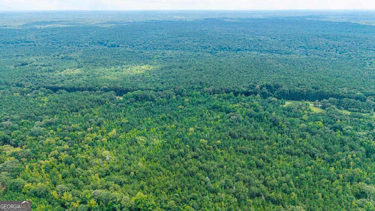 residential lot for sale at 0 Penfield Road, Union Point, GA 30669 — photo 7
