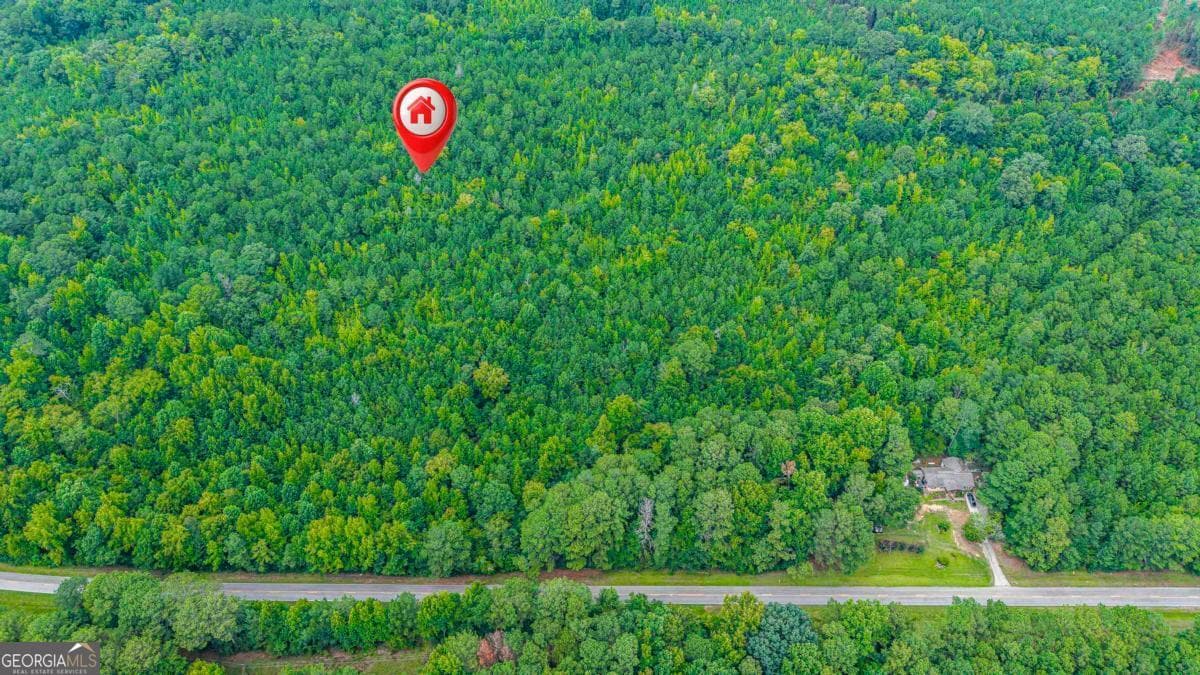 residential lot for sale at 0 Penfield Road, Union Point, GA 30669 — photo 3