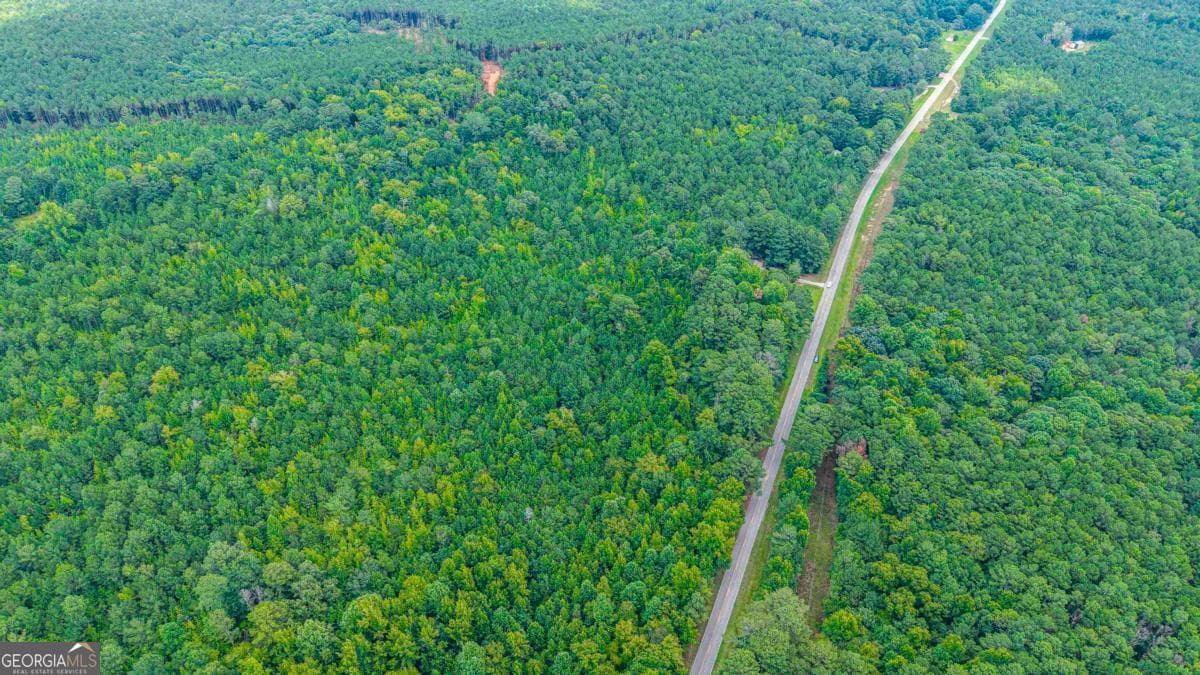 residential lot for sale at 0 Penfield Road, Union Point, GA 30669 — photo 5