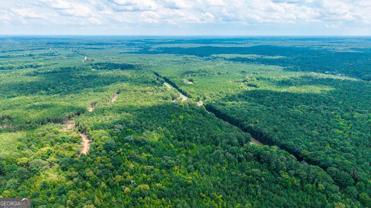 residential lot for sale at 0 Penfield Road, Union Point, GA 30669 — photo 9