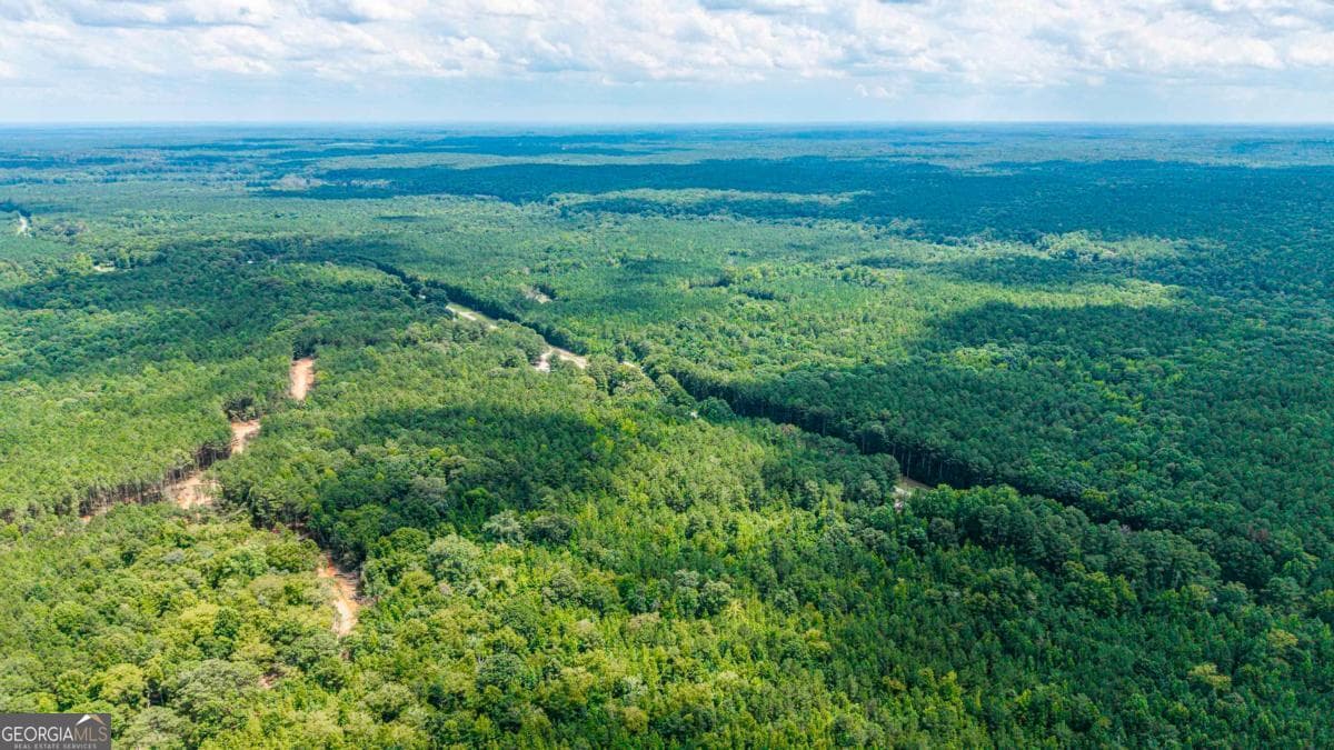 residential lot for sale at 0 Penfield Road, Union Point, GA 30669 — photo 10