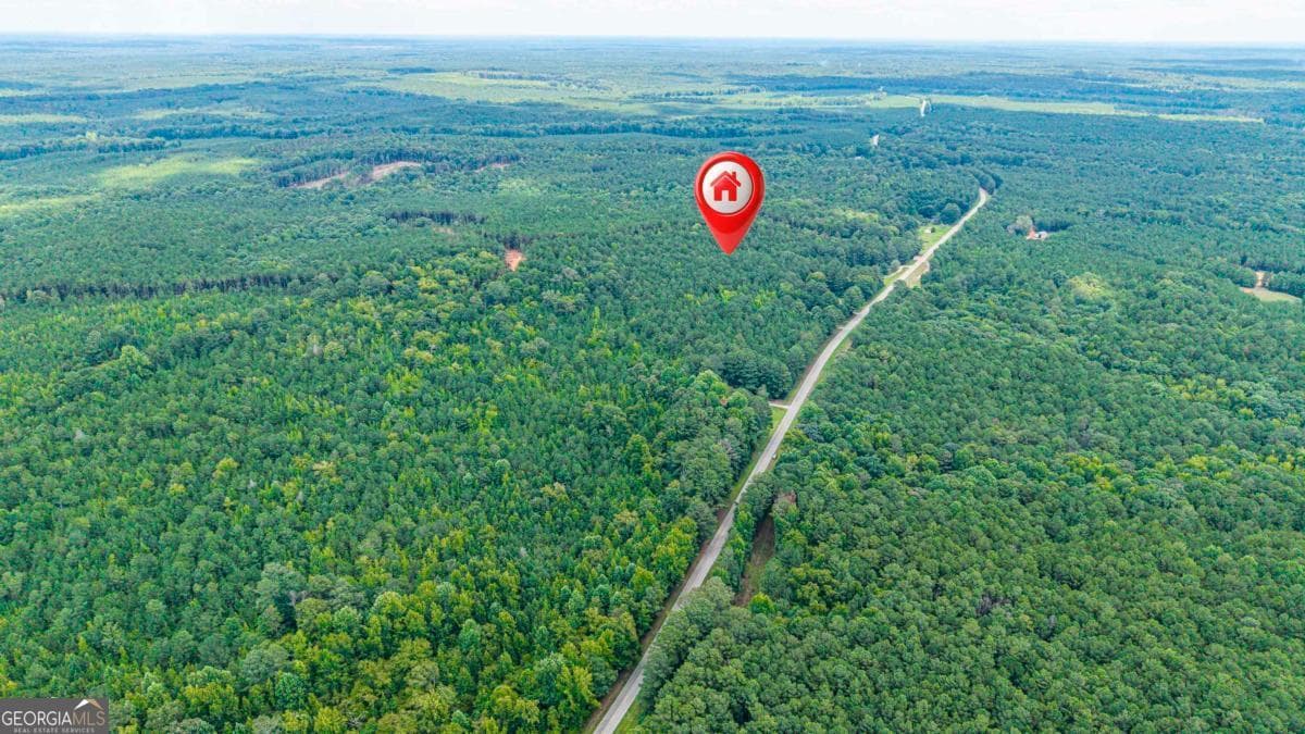 residential lot for sale at 0 Penfield Road, Union Point, GA 30669 — photo 4