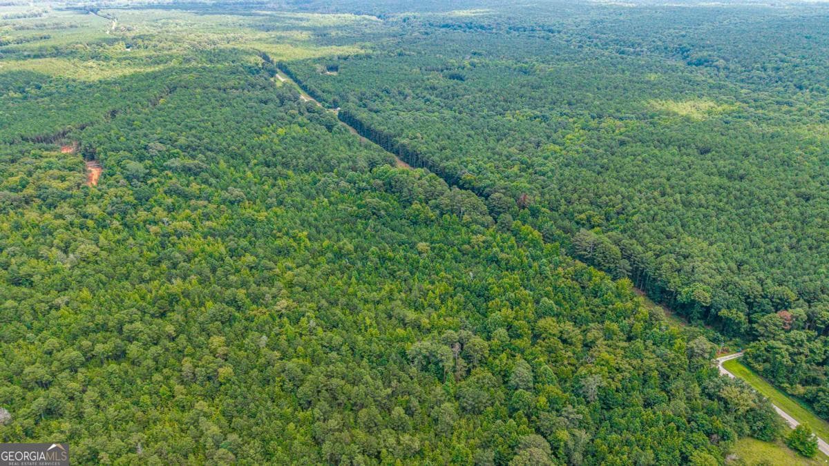 residential lot for sale at 0 Penfield Road, Union Point, GA 30669 — photo 8