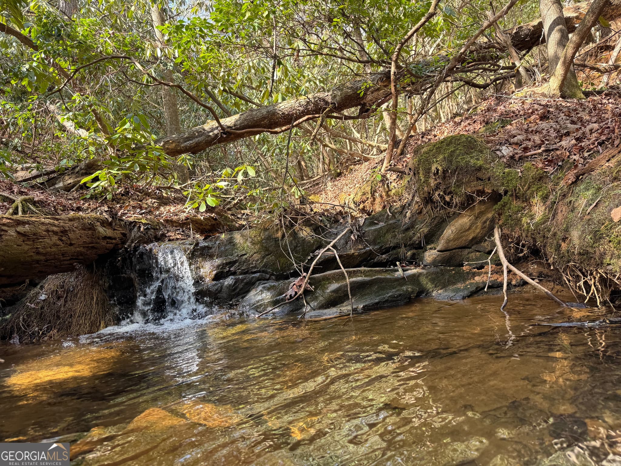 residential lot for sale at 0 Mountain Lion Trail, Helen, GA 30545 — photo 2