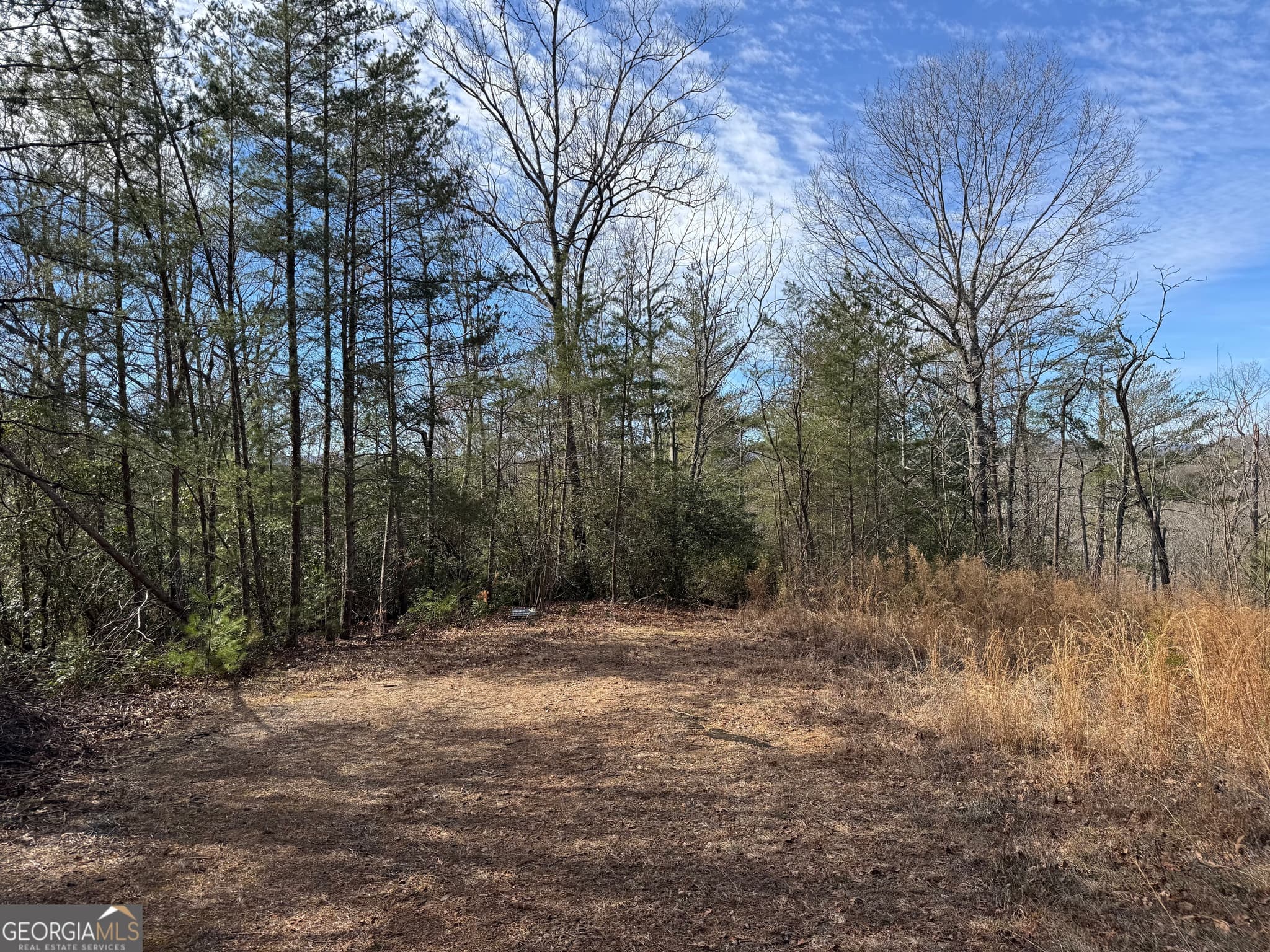 residential lot for sale at 0 Mountain Lion Trail, Helen, GA 30545 — photo 6