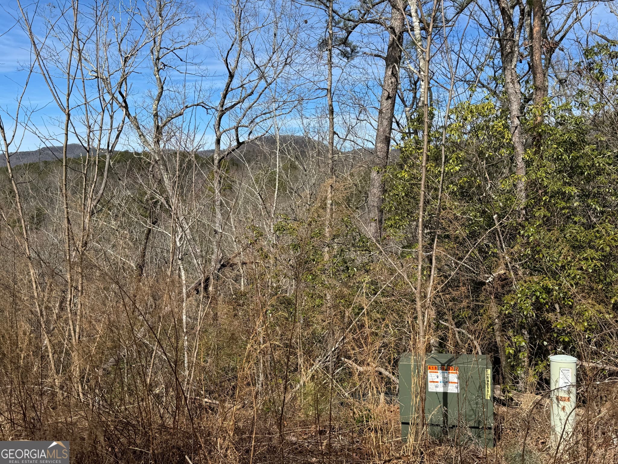 residential lot for sale at 0 Mountain Lion Trail, Helen, GA 30545 — photo 7