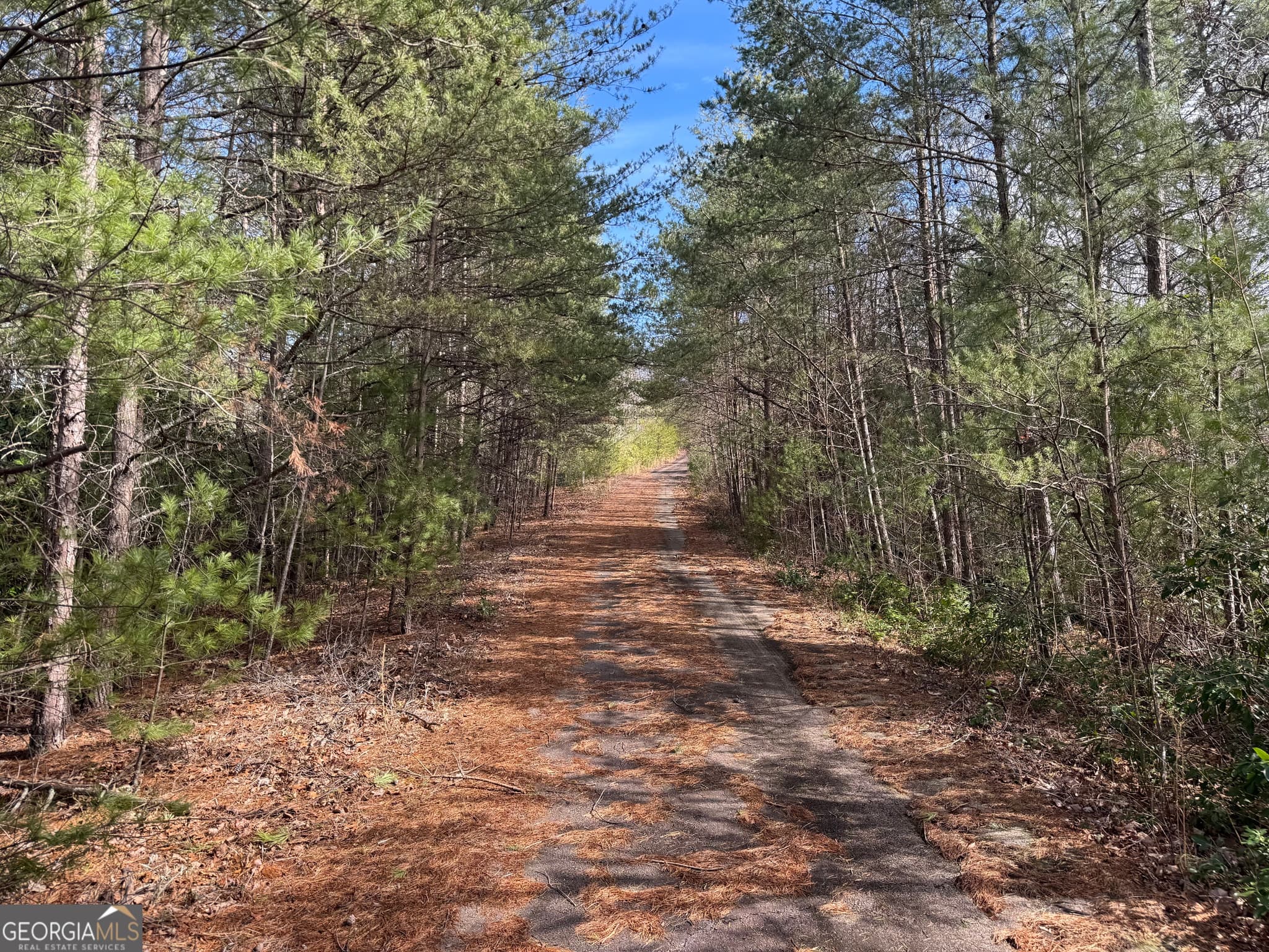 residential lot for sale at 0 Mountain Lion Trail, Helen, GA 30545 — photo 3