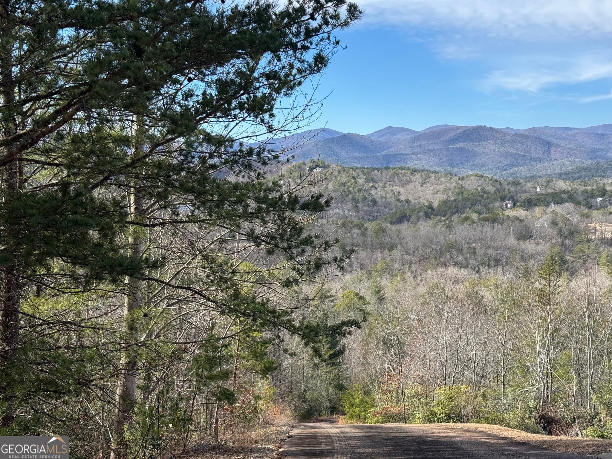 residential lot for sale at 0 Mountain Lion Trail, Helen, GA 30545 — photo 5
