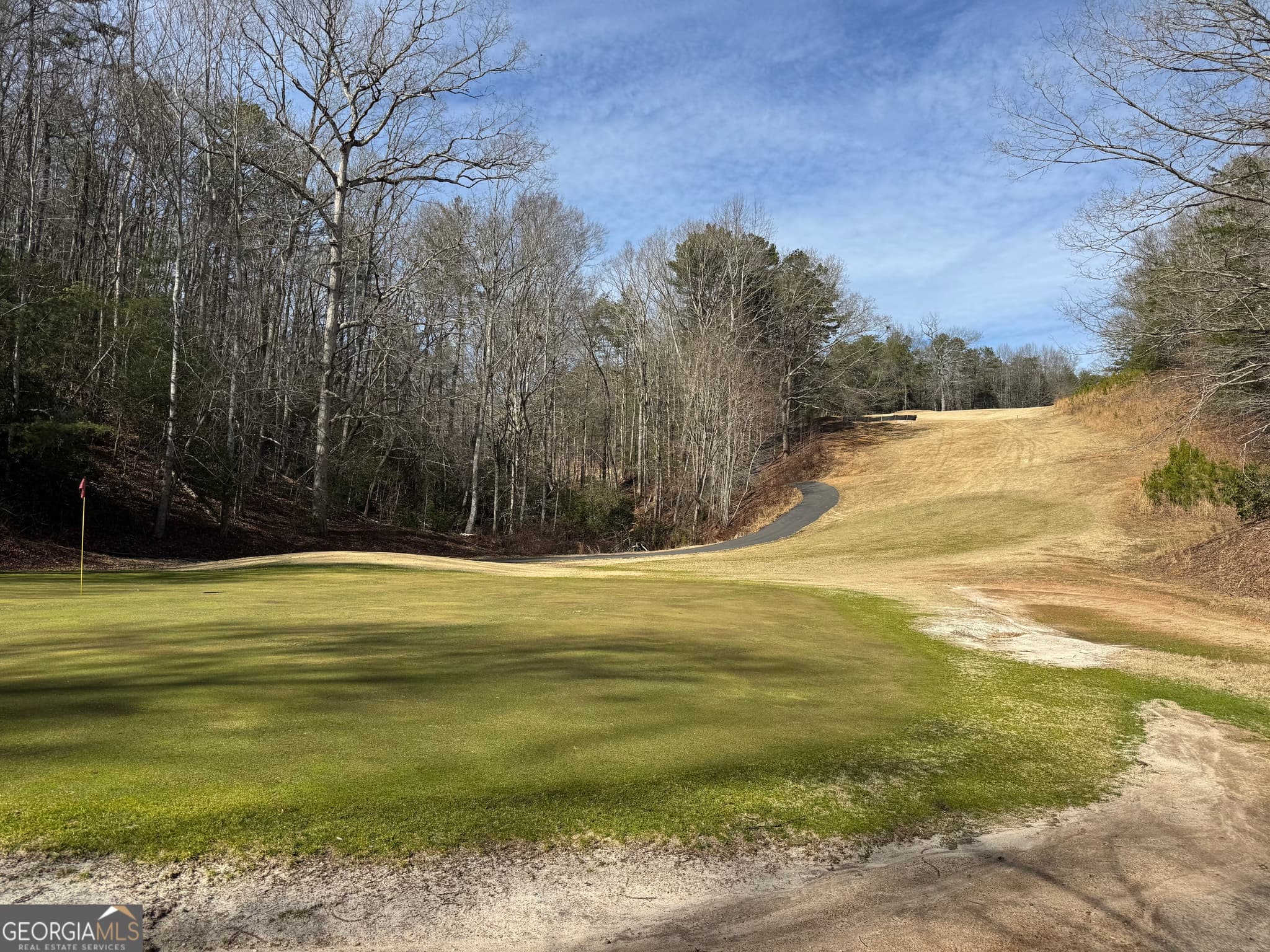 residential lot for sale at 0 Mountain Lion Trail, Helen, GA 30545 — photo 10
