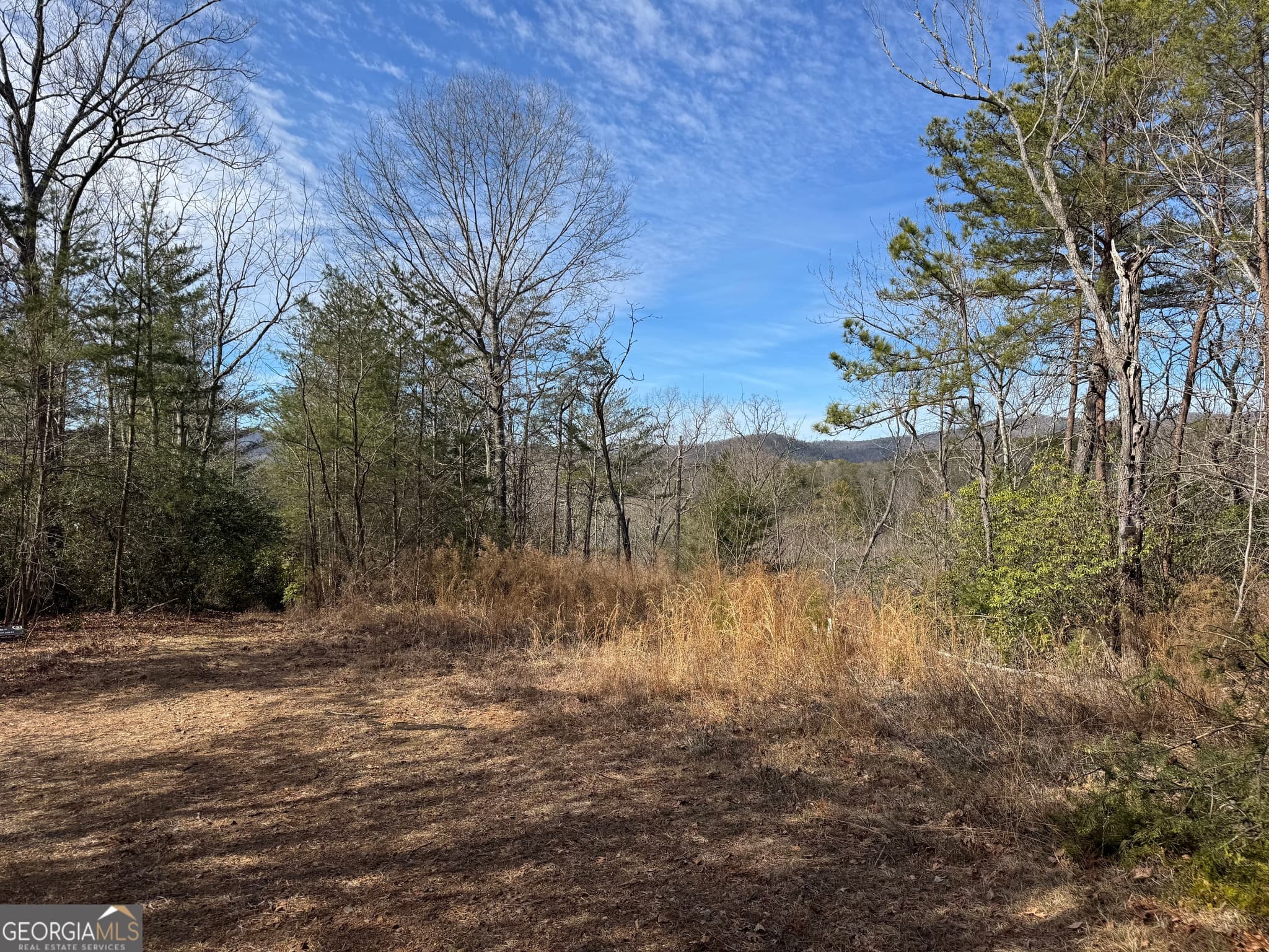 residential lot for sale at 0 Mountain Lion Trail, Helen, GA 30545 — photo 4