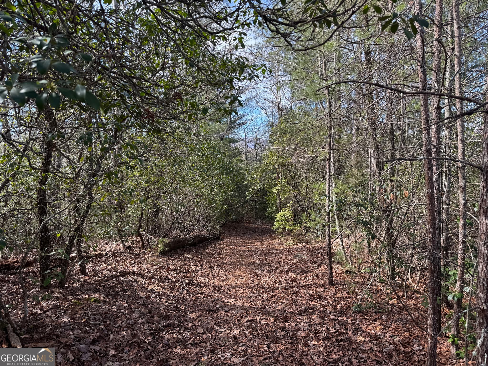 residential lot for sale at 0 Mountain Lion Trail, Helen, GA 30545 — photo 8
