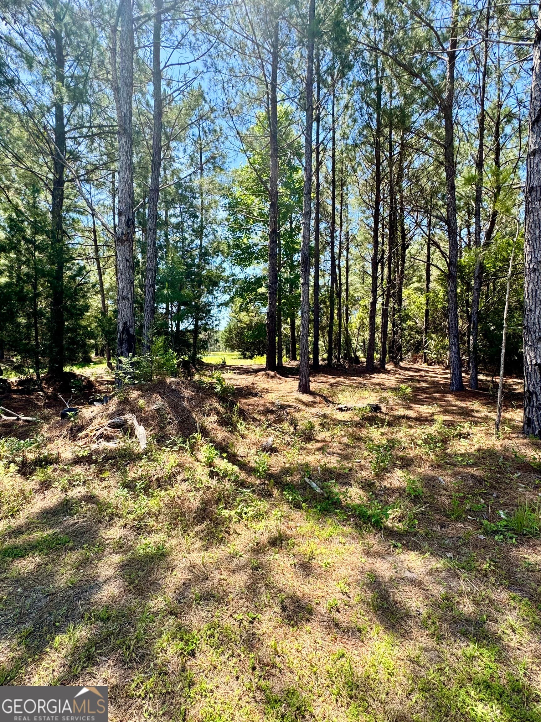 residential lot for sale at 0 Nautical Mile, Waverly, GA 31565 — photo 5