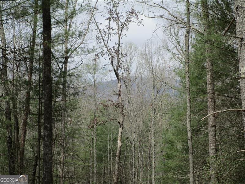 residential lot for sale at 0 East New Hope Road 3 AC, Ellijay, GA 30536 — photo 2