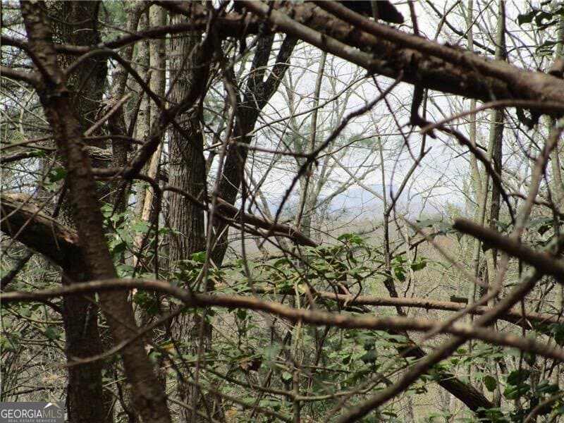 residential lot for sale at 0 East New Hope Road 3 AC, Ellijay, GA 30536 — photo 6