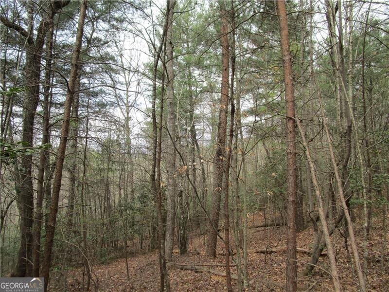 residential lot for sale at 0 East New Hope Road 3 AC, Ellijay, GA 30536 — photo 7