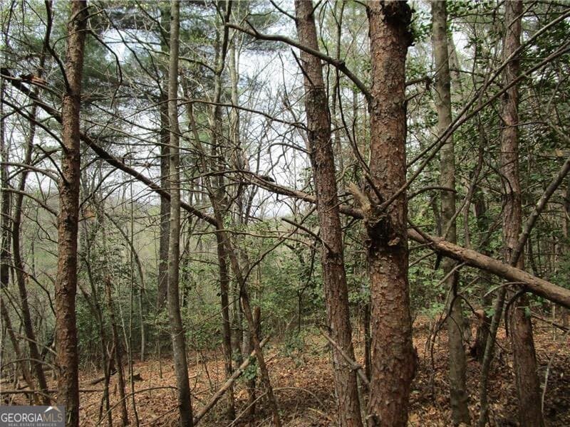 residential lot for sale at 0 East New Hope Road 3 AC, Ellijay, GA 30536 — photo 5