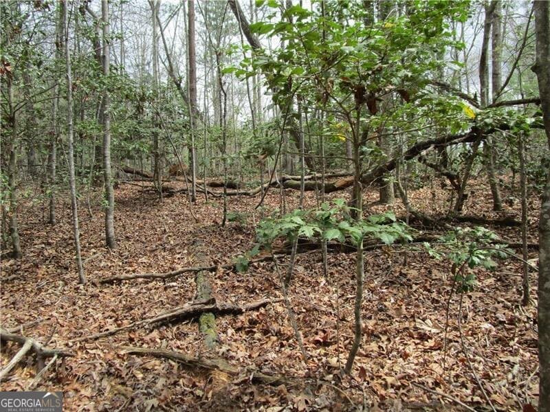 residential lot for sale at 0 East New Hope Road 3 AC, Ellijay, GA 30536 — photo 9