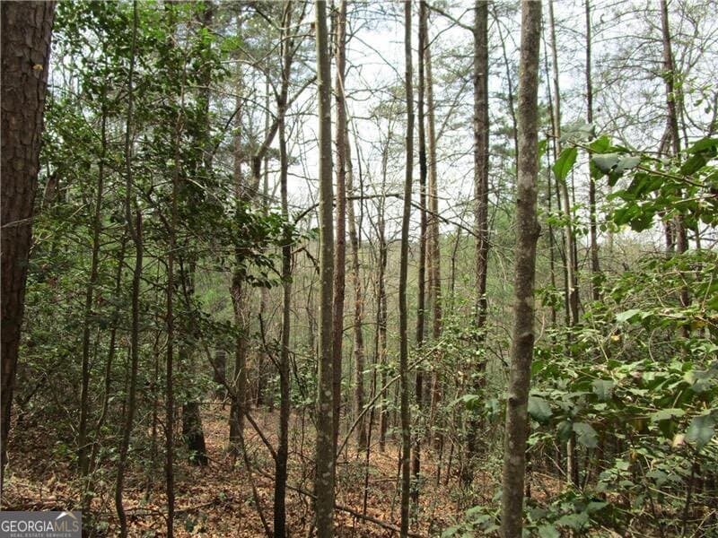 residential lot for sale at 0 East New Hope Road 3 AC, Ellijay, GA 30536 — photo 10