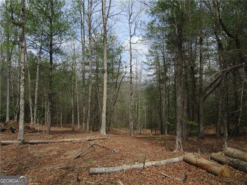 residential lot for sale at 0 East New Hope Road 3 AC, Ellijay, GA 30536 — photo 4