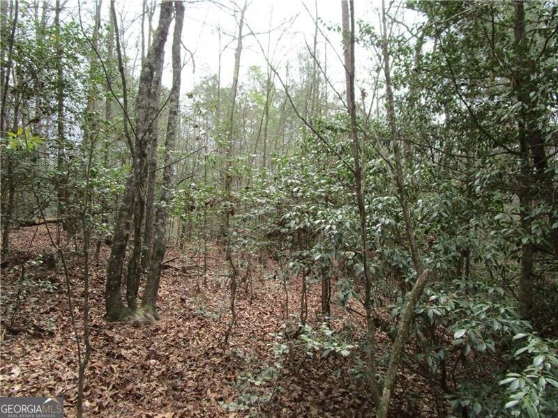 residential lot for sale at 0 East New Hope Road 3 AC, Ellijay, GA 30536 — photo 8