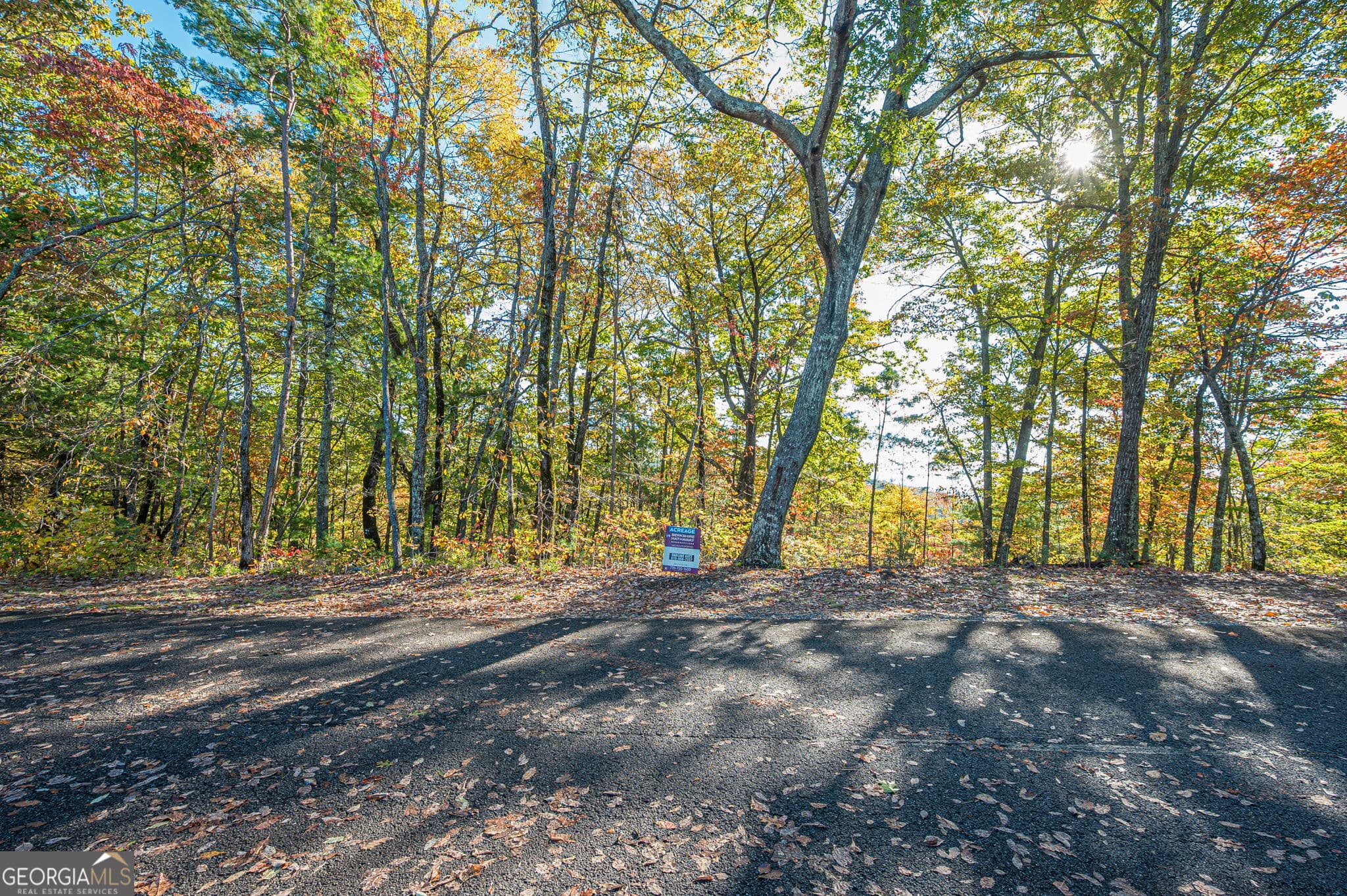 residential lot for sale at LOT 19 Oceola Drive, Ellijay, GA 30540 — photo 2
