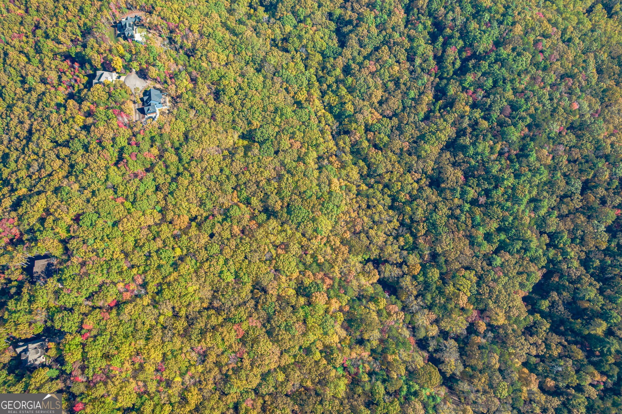 residential lot for sale at LOT 19 Oceola Drive, Ellijay, GA 30540 — photo 5