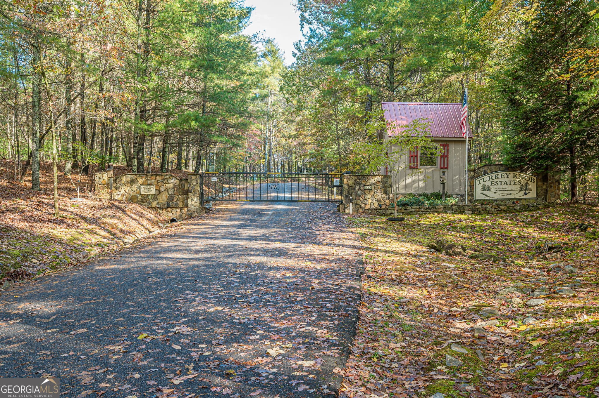 residential lot for sale at LOT 19 Oceola Drive, Ellijay, GA 30540 — photo 9